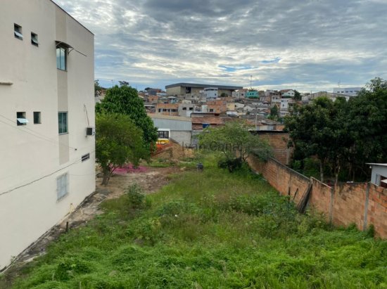 lote-venda-dom-jose-dalvit-centro-de-pinheiros-571381